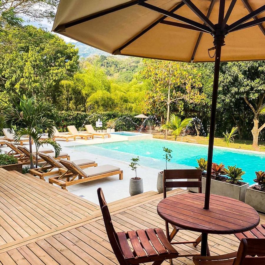 Casa Jacaranda Hotel Boutique - Cauca Viejo - Mayores De 14 Anos - Херико Экстерьер фото